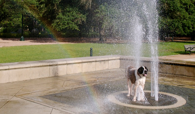 Fountains in Molly Ann Smith Plaza