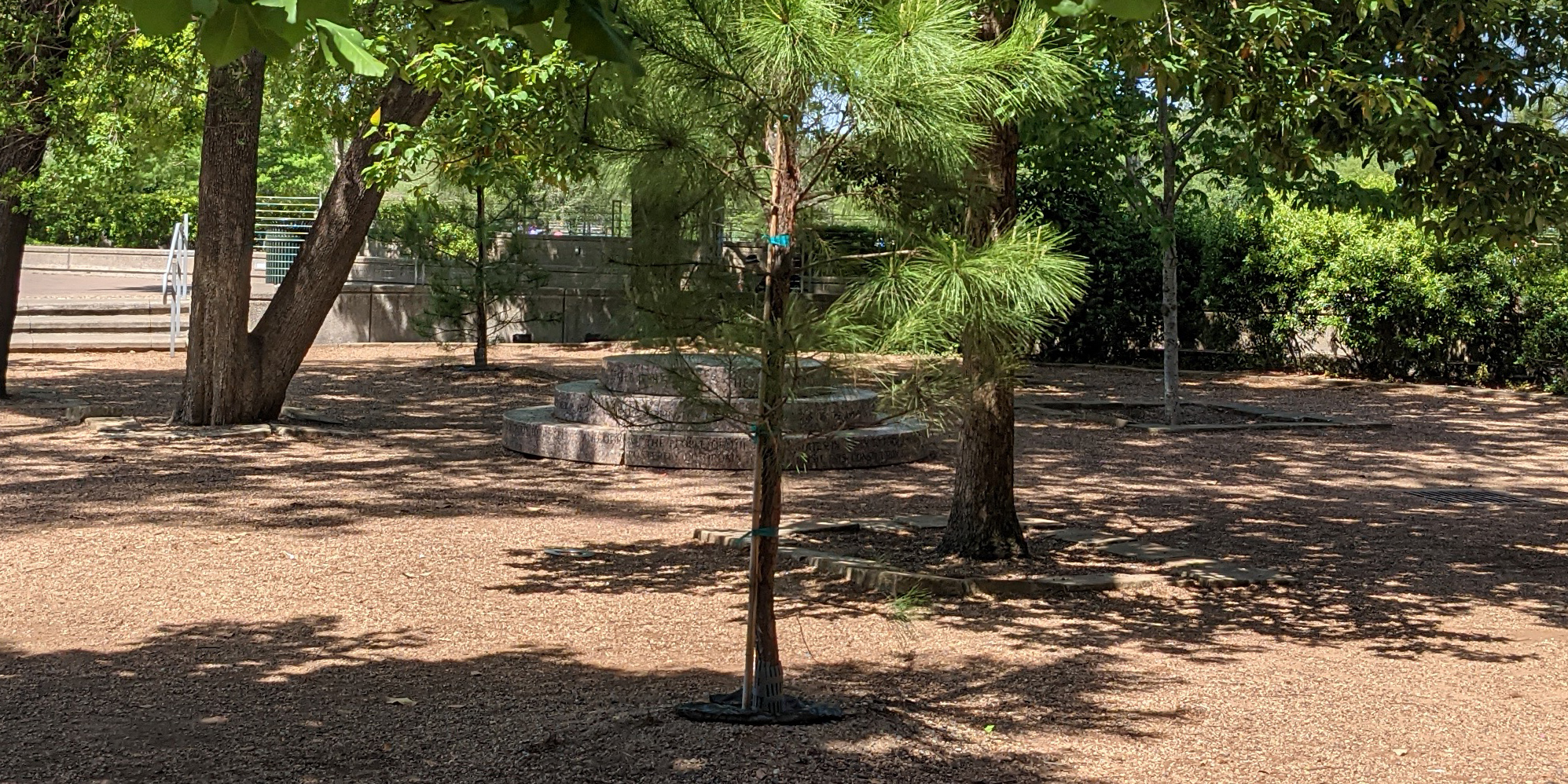 PAUL CARRINGTON CHAPTER MONUMENT